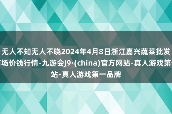 无人不知无人不晓2024年4月8日浙江嘉兴蔬菜批发来回商场价钱行情-九游会J9·(china)官方网站-真人游戏第一品牌