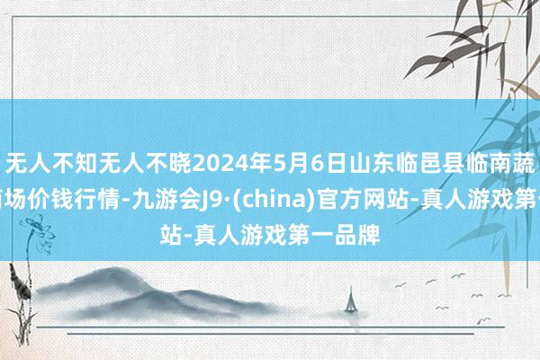 无人不知无人不晓2024年5月6日山东临邑县临南蔬菜大商场价钱行情-九游会J9·(china)官方网站-真人游戏第一品牌