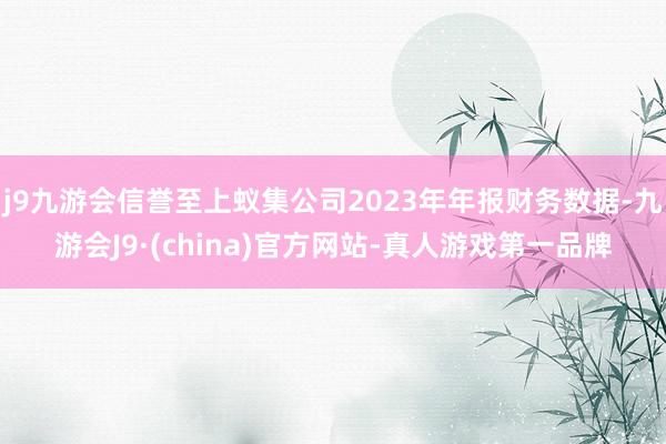 j9九游会信誉至上蚁集公司2023年年报财务数据-九游会J9·(china)官方网站-真人游戏第一品牌