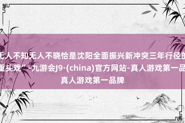 无人不知无人不晓恰是沈阳全面振兴新冲突三年行径的“重头戏”-九游会J9·(china)官方网站-真人游戏第一品牌