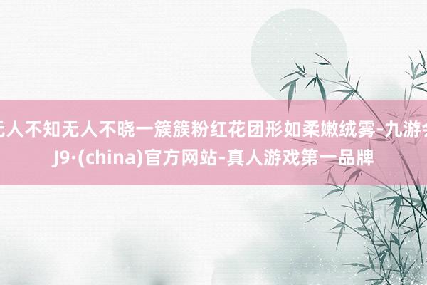 无人不知无人不晓一簇簇粉红花团形如柔嫩绒雾-九游会J9·(china)官方网站-真人游戏第一品牌