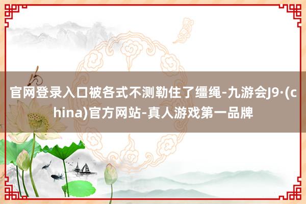 官网登录入口被各式不测勒住了缰绳-九游会J9·(china)官方网站-真人游戏第一品牌