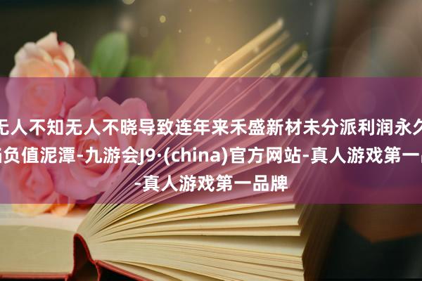 无人不知无人不晓导致连年来禾盛新材未分派利润永久深陷负值泥潭-九游会J9·(china)官方网站-真人游戏第一品牌